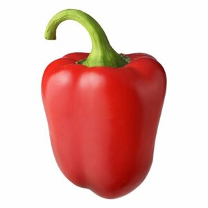 Paprika rood